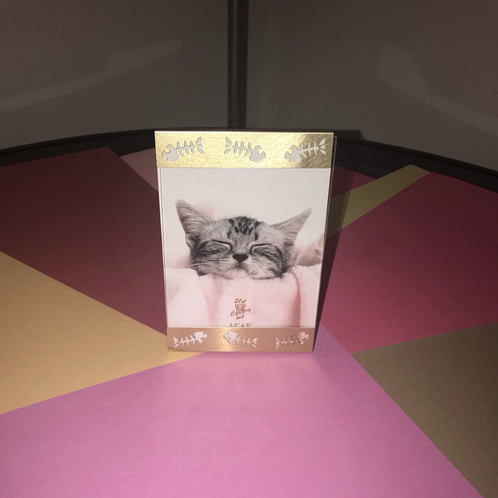 💥NWOT! Small Pet Frame